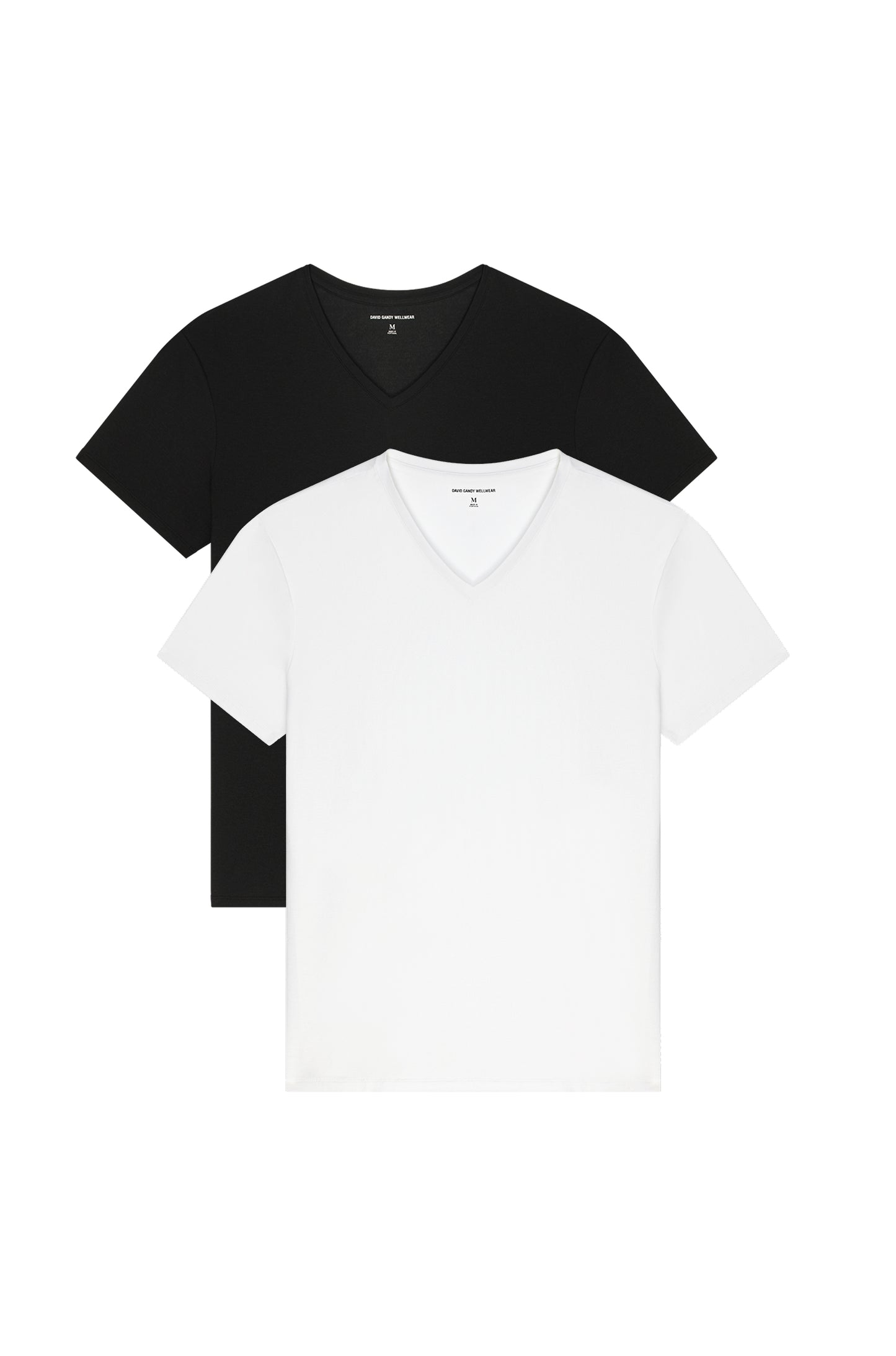 Ultimate V-Neck Set of 2