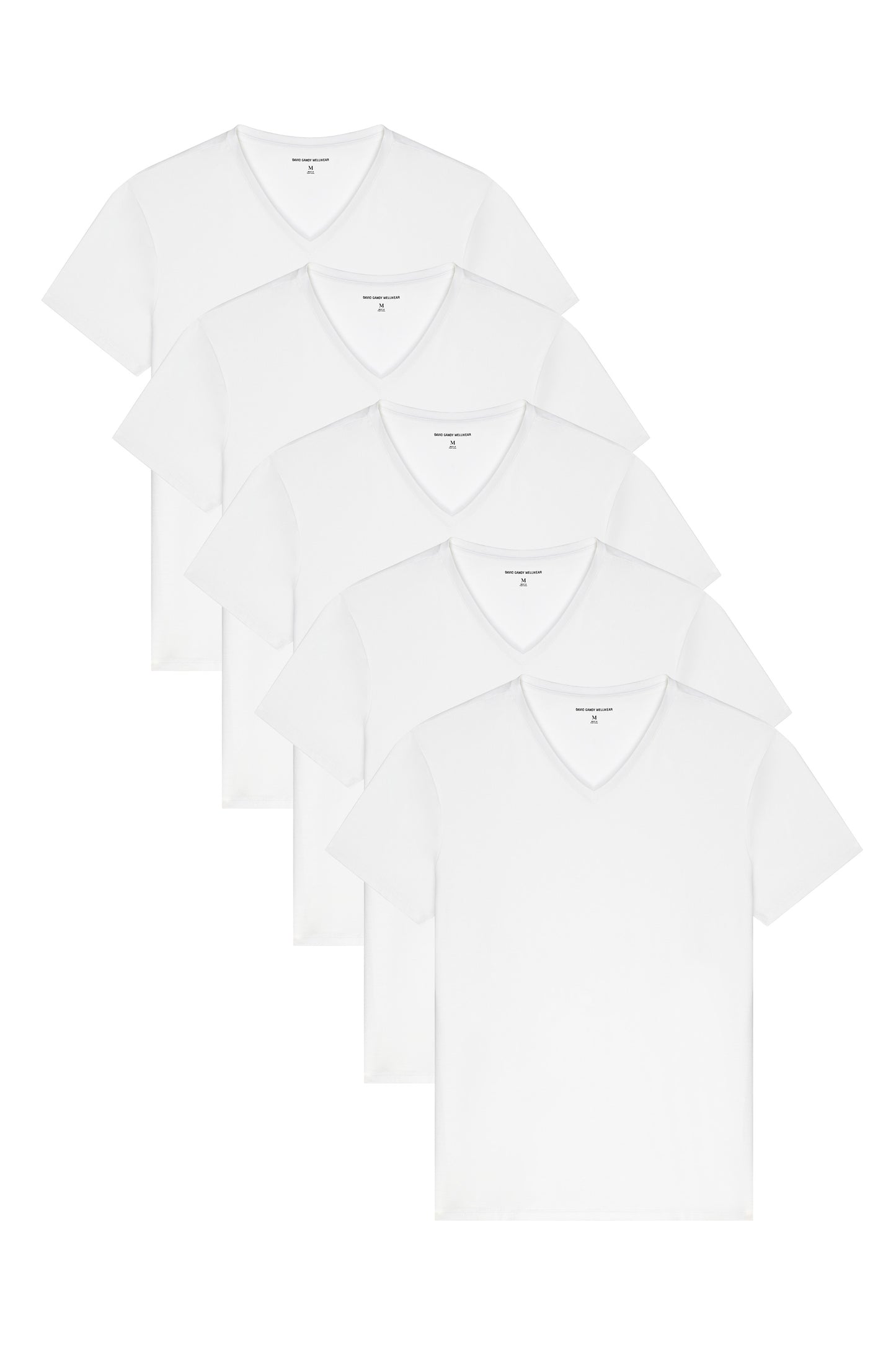 Ultimate V-Neck Set of 5