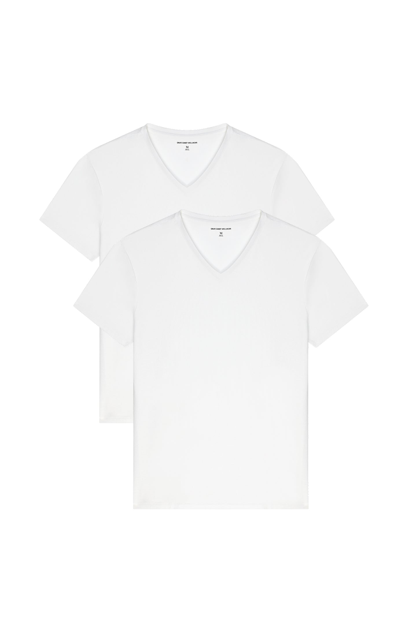 Ultimate V-Neck Set of 2